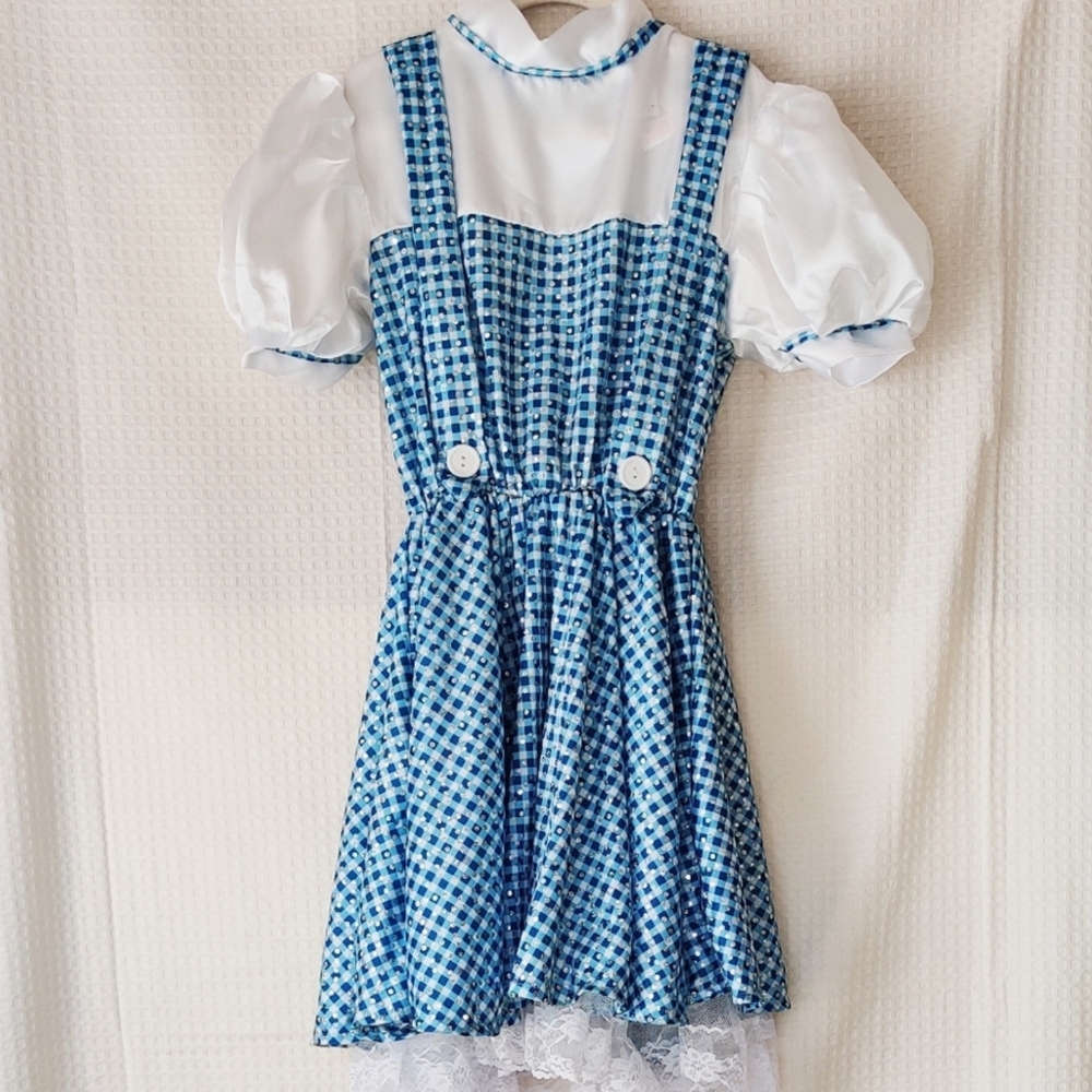 Rubies The Wizard of Oz Dorothy Dress Costume Child Size Medium